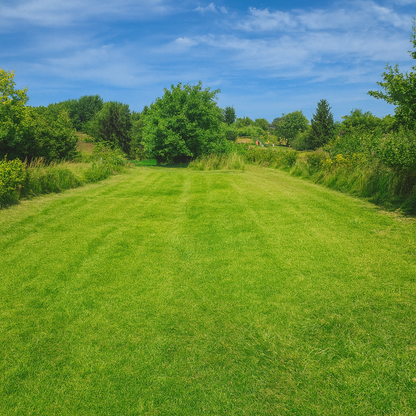 Drzonowo 735 gmina Kołobrzeg