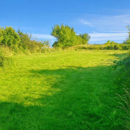 Drzonowo 735 gmina Kołobrzeg