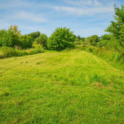 Drzonowo 735 gmina Kołobrzeg