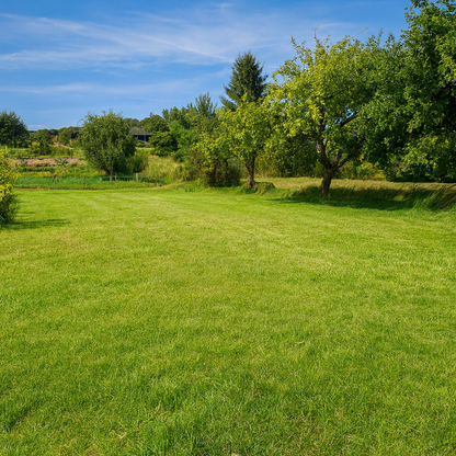 Drzonowo 736 gmina Kołobrzeg