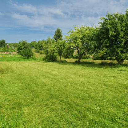 Drzonowo 736 gmina Kołobrzeg