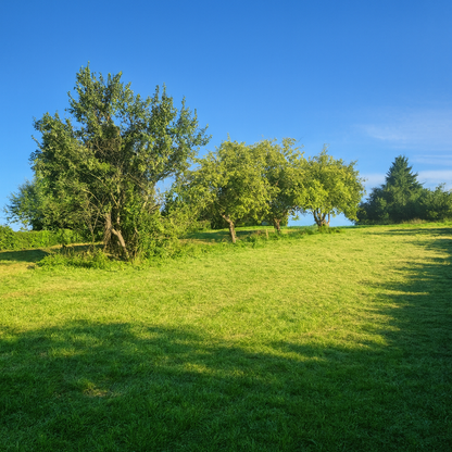 Drzonowo 736 gmina Kołobrzeg