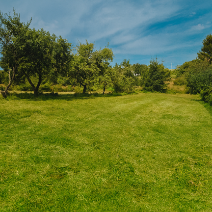 Drzonowo 737 gmina Kołobrzeg