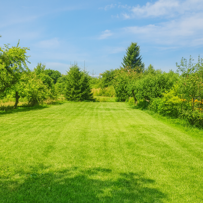 Drzonowo 737 gmina Kołobrzeg