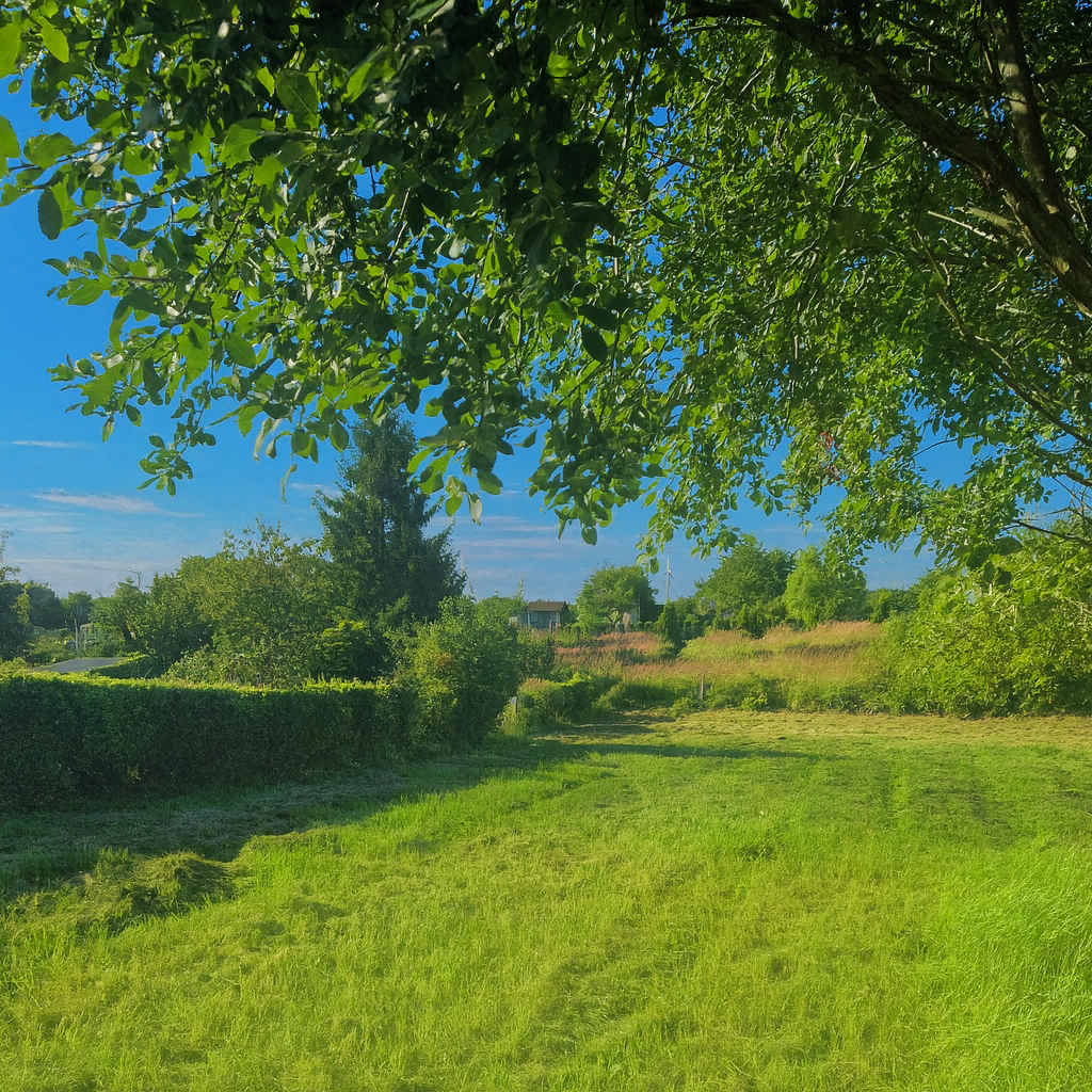 Drzonowo 739 gmina Kołobrzeg