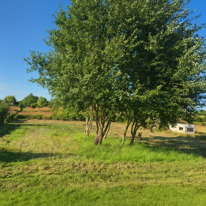 Drzonowo 739 gmina Kołobrzeg