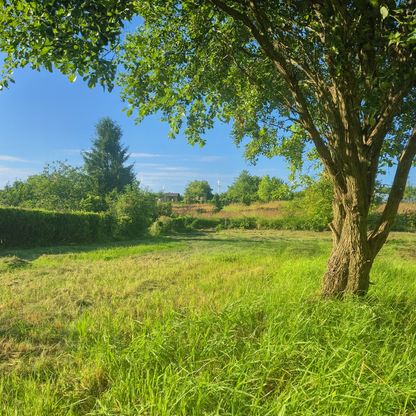 Drzonowo 739 gmina Kołobrzeg