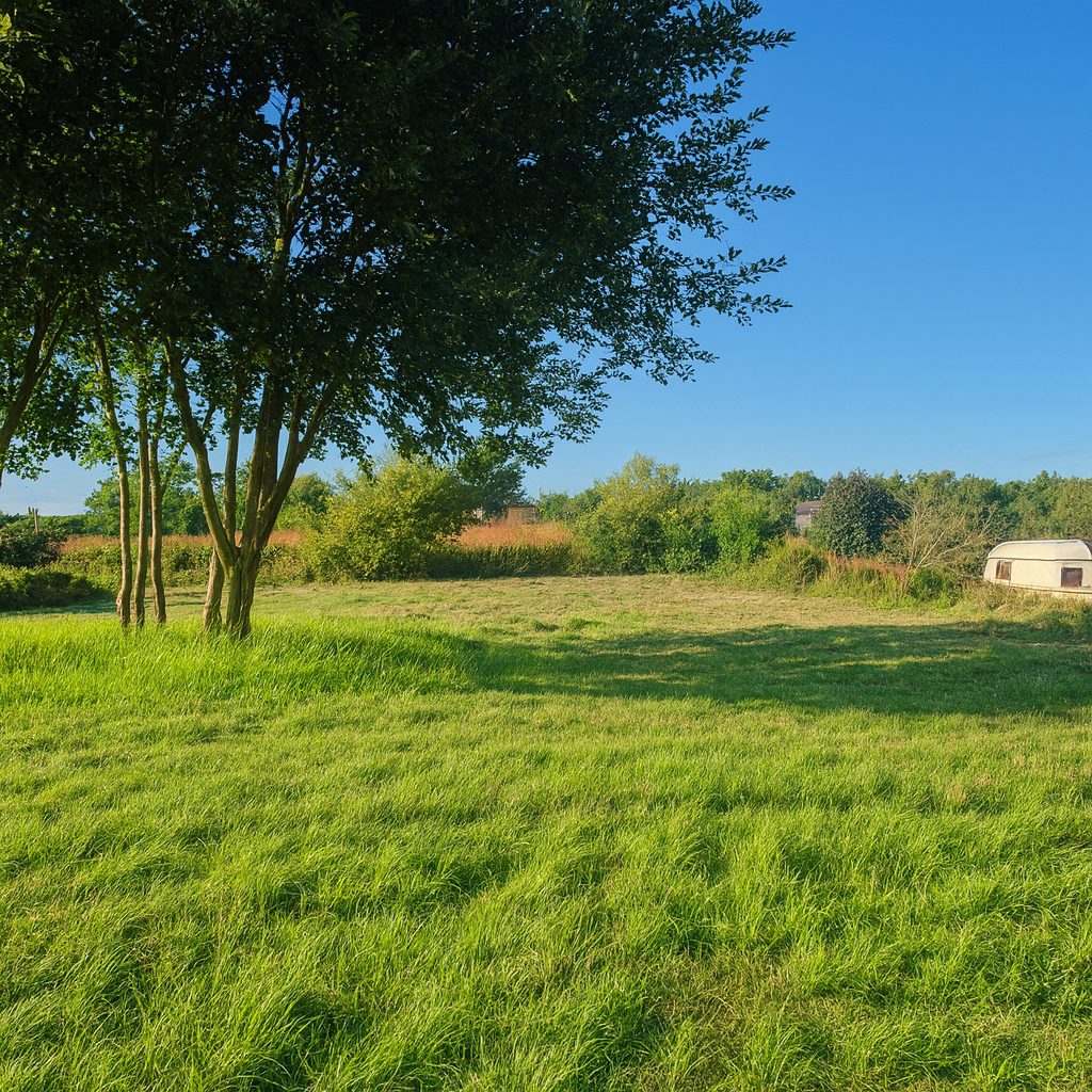 Drzonowo 740 gmina Kołobrzeg