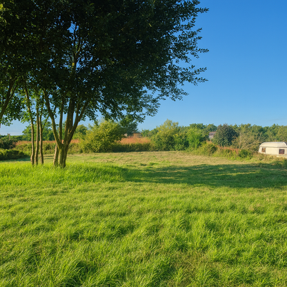 Drzonowo 740 gmina Kołobrzeg