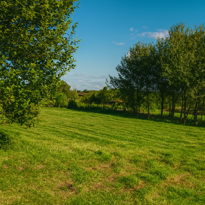 Drzonowo 772 gmina Kołobrzeg