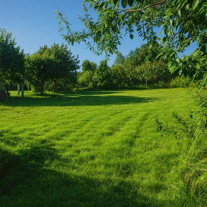 Drzonowo 776 gmina Kołobrzeg